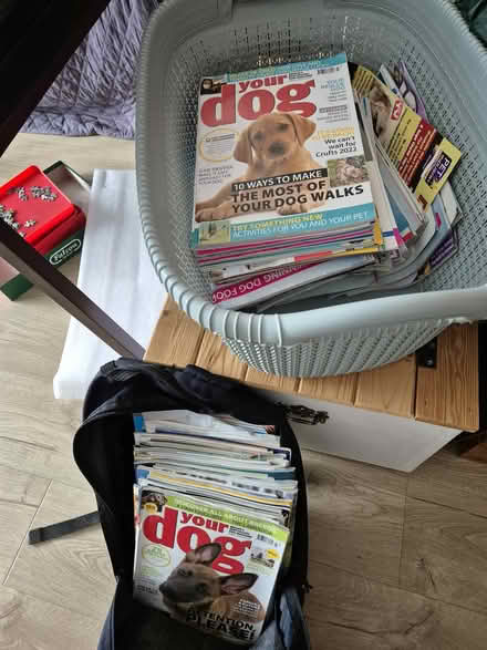 Photo of free Dog Magazines (CT10) #1