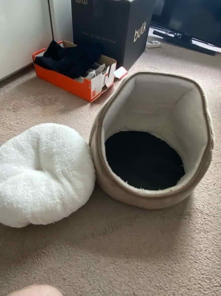 Photo of free Kitten / small cat bed (Hackney - E5) #2