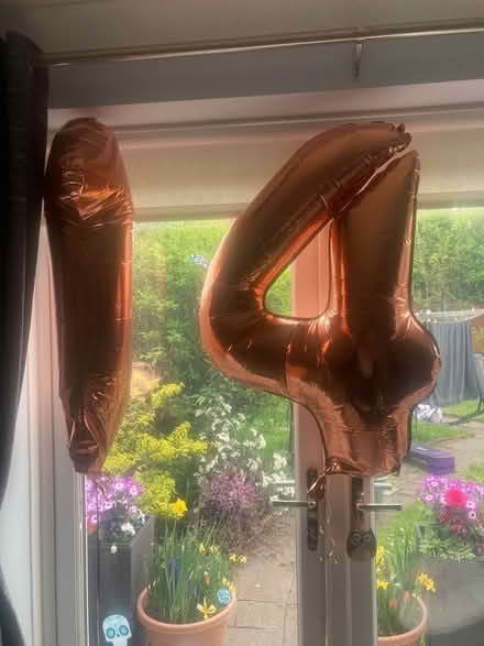 Photo of free Rose Gold 1 and 4 balloons (L19) #1