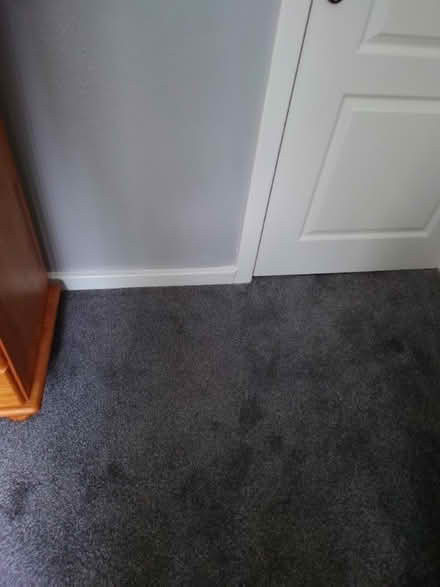 Photo of free grey carpet (new) suit bedroom: (wv4 4tr) (Tettenhall Wood WV6) #1