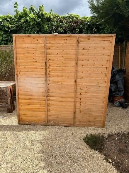 Photo of free Garden fence panel (Ham, Richmond, TW10) #2