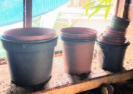 Photo of free Various plastic plant pots (Rudheath CW9) #2