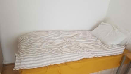 Photo of free Duvet and pillows (Bounds Green, N22) #1