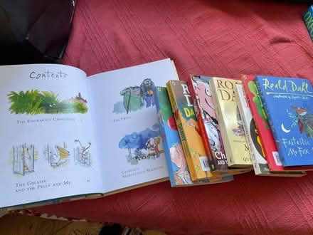 Photo of free Ronald Dahl books (Didcot OX11) #1