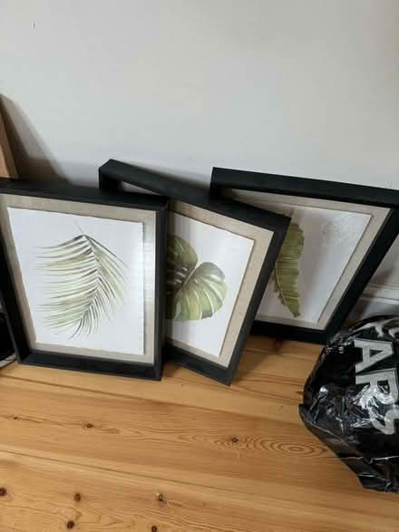 Photo of free Picture frames x14 (DA7) #3