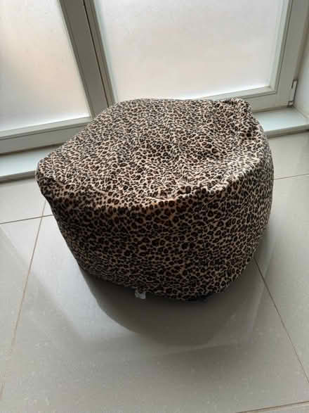 Photo of free Pet cushion (Highbury Barn N5) #1