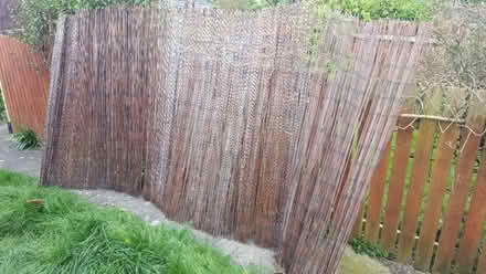 Photo of free Bamboo fencing (Woodseats S8) #2