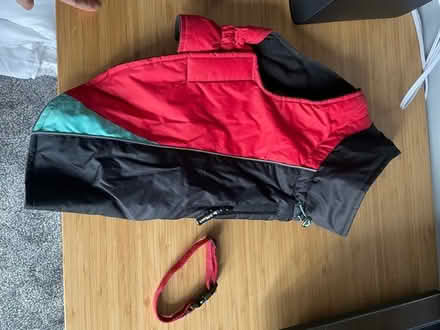 Photo of free Dog harnesses, collar and coat (Pollokshaws E G43) #2