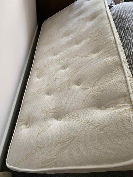 Photo of free Single mattress (Little Lyth SY3) #2