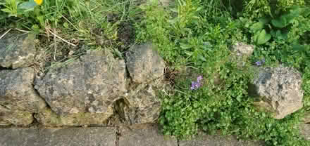 Photo of free Kentish Ragstone (TN24) #4