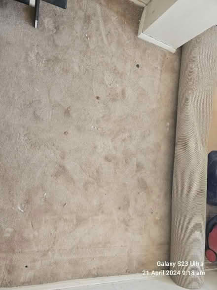 Photo of free Carpet (IG1) #2