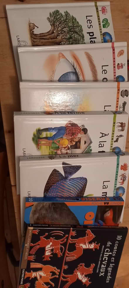 Photo of free French language children's books (Tooting SW17) #2