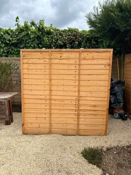 Photo of free Garden fence panel (Ham, Richmond, TW10) #1