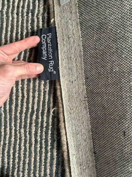 Photo of free Wool and cotton rug (Chiswick) #2