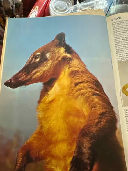 Photo of free 2 Wildlife Encyclopedias (Upper Chichester, PA) #1
