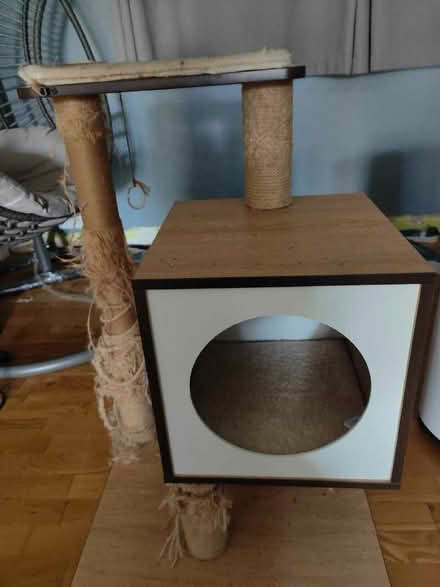 Photo of free Cat stand (Chaddesden DE21) #1