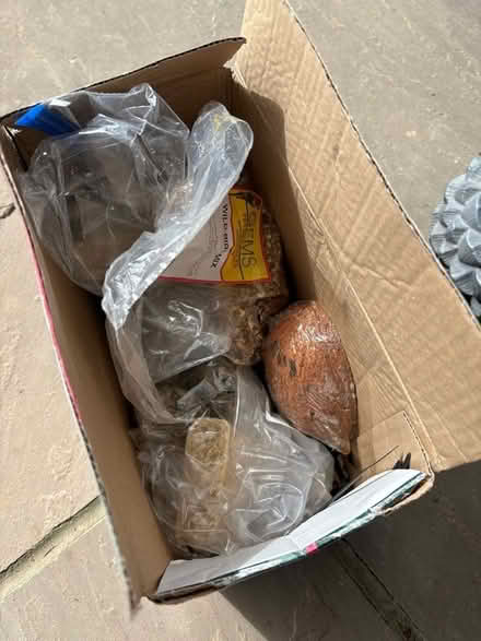 Photo of free Bird feeders food (Great Oakley CO12) #2