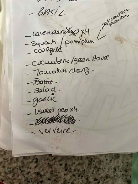 Photo of seeds or seedlings (Horsham) #1
