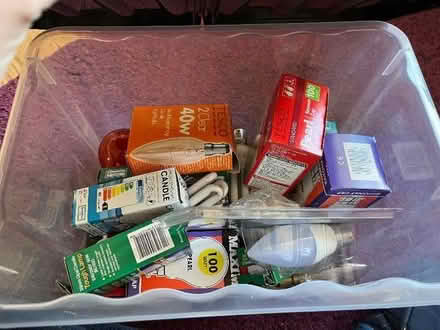 Photo of free Mystery selection of lightbulbs (Horfield BS7)