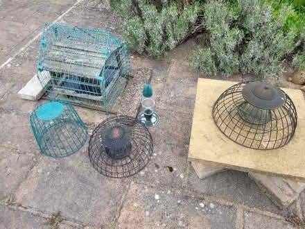 Photo of free Bird feeders (Aston Clinton HP22) #1