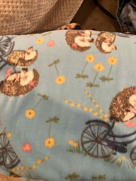 Photo of free Fleece for crafting (Bellevue) #2