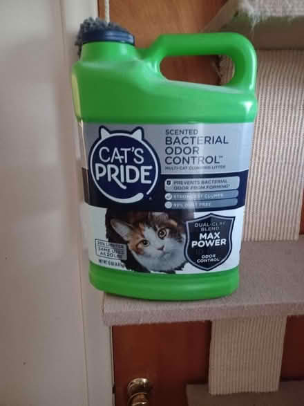 Photo of free Cat Litter Jugs (Garden City) #1