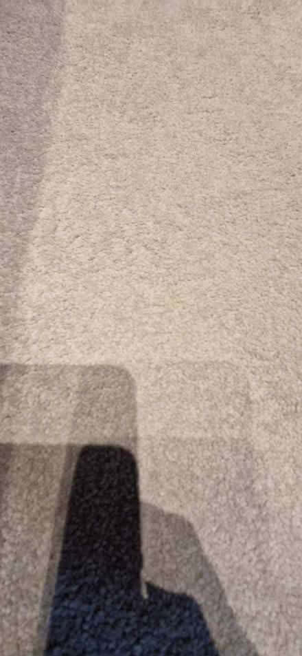 Photo of free Light grey carpet offcut (Greystones S11) #2