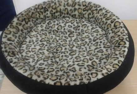 Photo of free Pet bed. Previously used (Glasgow) #1