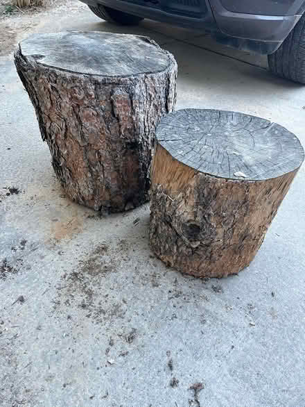 Photo of free 2 Ponderosa Pine Stumps (Boulder County-75th/Valmont) #1
