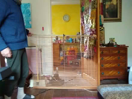 Photo of free Bamboo Venetian Blind (Pilton EH4) #3
