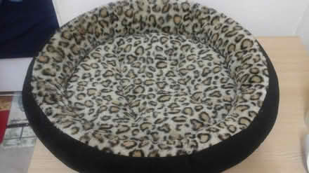 Photo of free Pet bed. Previously used (Glasgow) #2