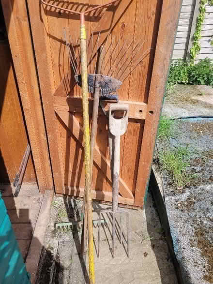 Photo of free Lots of gardening stuff (Aston Clinton HP22) #4