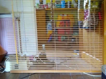 Photo of free Bamboo Venetian Blind (Pilton EH4) #2