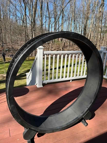 Photo of free Cat Exercise Wheel (Clifton Park) #1