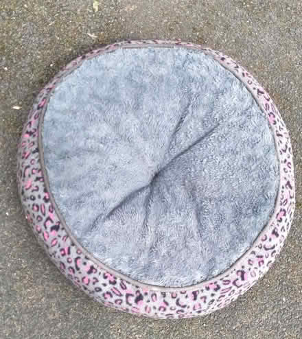 Photo of free Dog / cat bed (Stainton CA11) #1