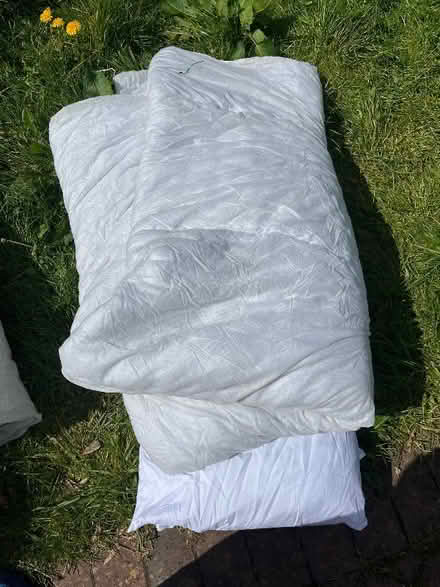 Photo of free Old king size duvet and pillows (Horfield BS7)