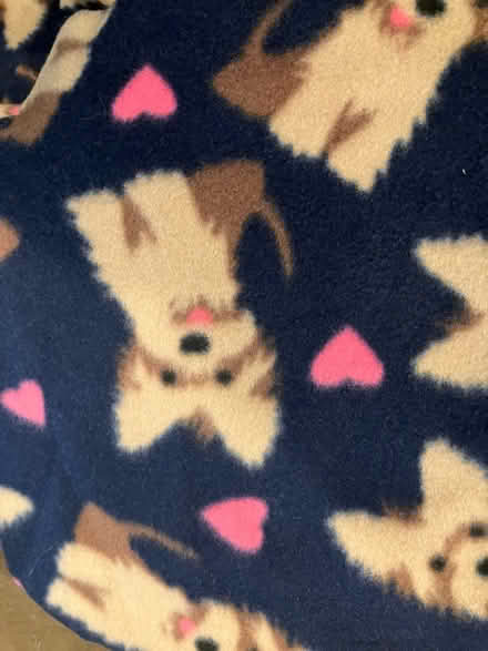 Photo of free Fleece for crafting (Bellevue) #3