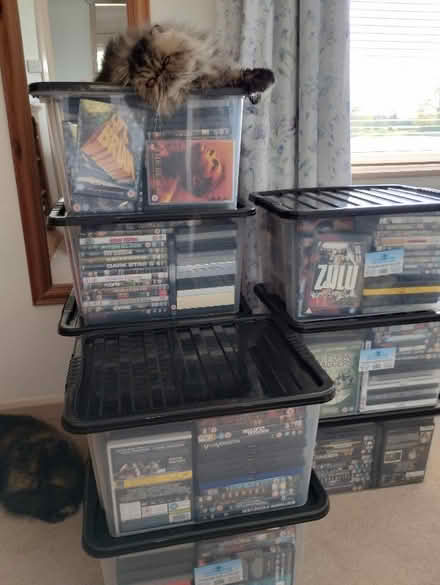 Photo of free large collection of film DVDs (Tharston NR15) #2