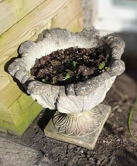 Photo of free Large concrete garden planters (Ivybridge PL21) #1