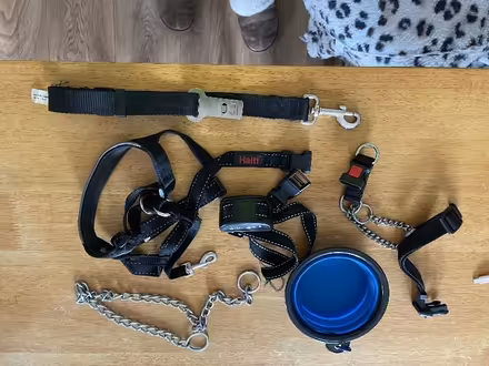 Photo of free Dog bits (Fareham PO13) #1