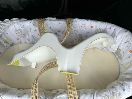 Photo of free Bassinet and new born bath support (Stirchley) #2