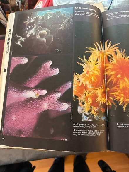 Photo of free 2 Wildlife Encyclopedias (Upper Chichester, PA) #3