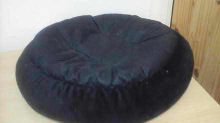 Photo of free Pet bed. Previously used (Glasgow) #4