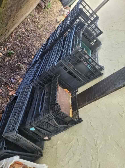 Photo of free Lots of gardening stuff (Aston Clinton HP22) #3