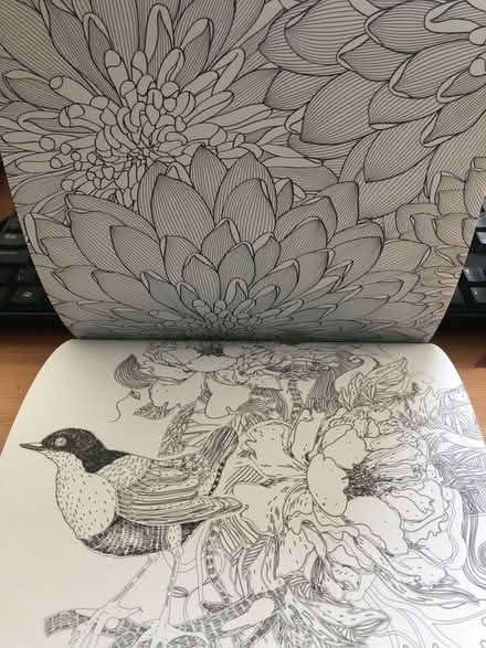 Photo of free Mindfulness colouring book (Willowbrae EH8) #2