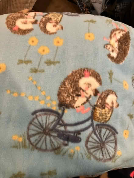 Photo of free Fleece for crafting (Bellevue) #1