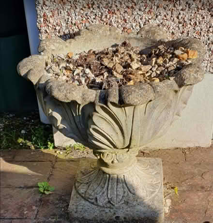 Photo of free Large concrete garden planters (Ivybridge PL21) #3