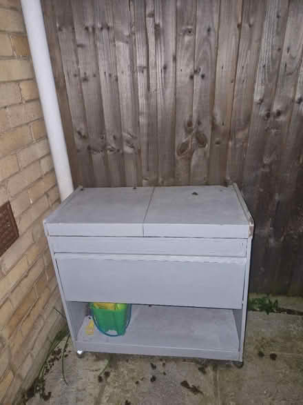 Photo of free Waitress Tray (DA2) #1