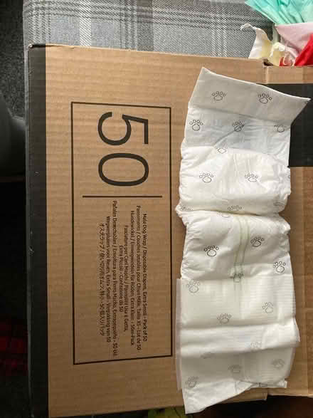 Photo of free 25 male dog wraps (Derbyshire DE55) #1
