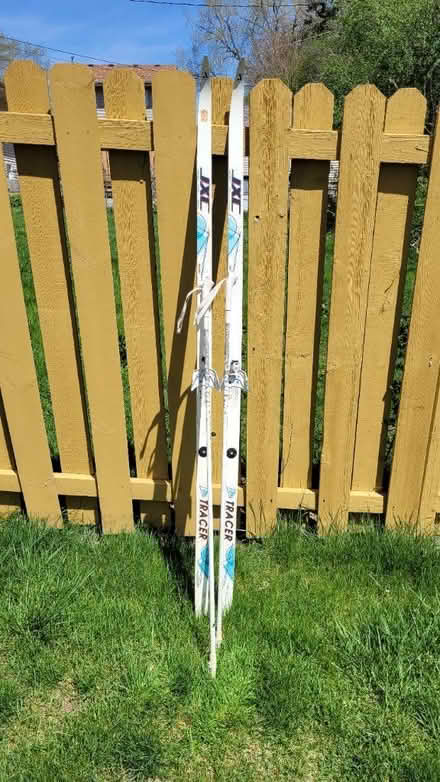 Photo of free Cross country skis (West side unincorporated area) #1